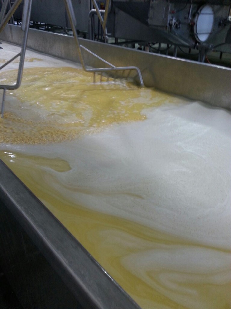 cheese vat