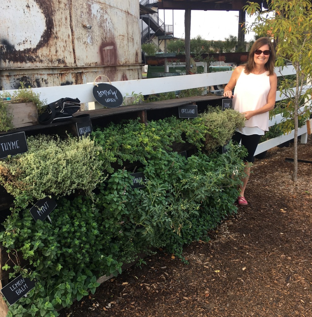 Hens no longer lay their eggs in these boxes, they have been repurposed as a herb planter.