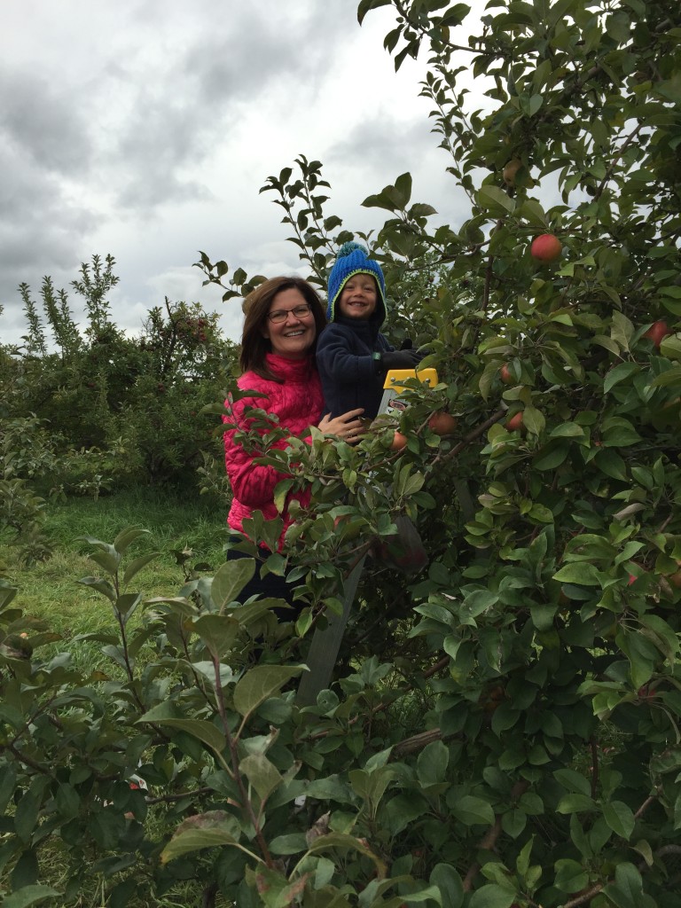 We had to climb to the top to find all of the best apples. No low hanging fruit for us.