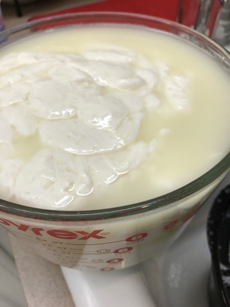 When the liquid is yellow and the white curds start forming, drain off the liquid whey. Save the high protein whey for making smoothies, bread or substitute for the liquid in other baked products. 