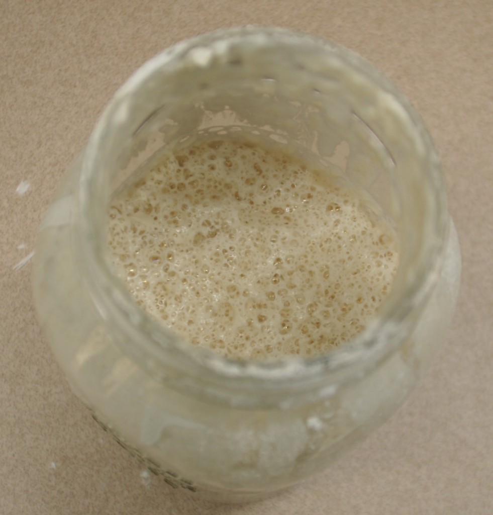 The bubbles rise to the surface and burst as sugars ferment and create gas that leavens bread. 