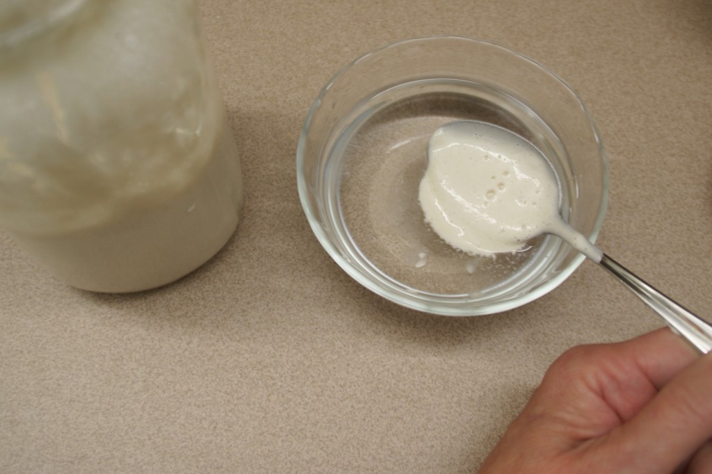 Test the strength of your starter by spooning a small amount in a bowl of water. If it floats, it means it is strong and vigorous enough to leaven your bread. 