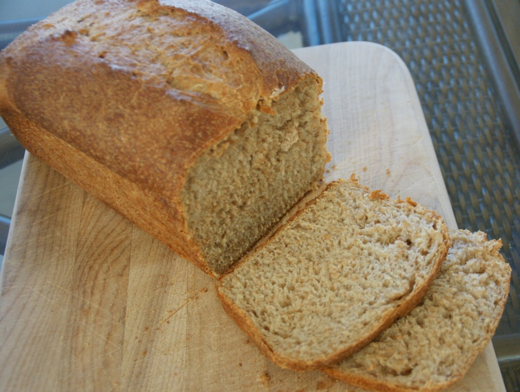 Start this 100% spelt sourdough bread with a wild yeast culture that is vigorous. Test by spooning a small amount of culture in a dish of water. If it floats, it is ready to use in bread. If you are unsure if it is ready, just add 1/4 teaspoon of quick acting yeast to the recipe to make sure the bread rises well. 