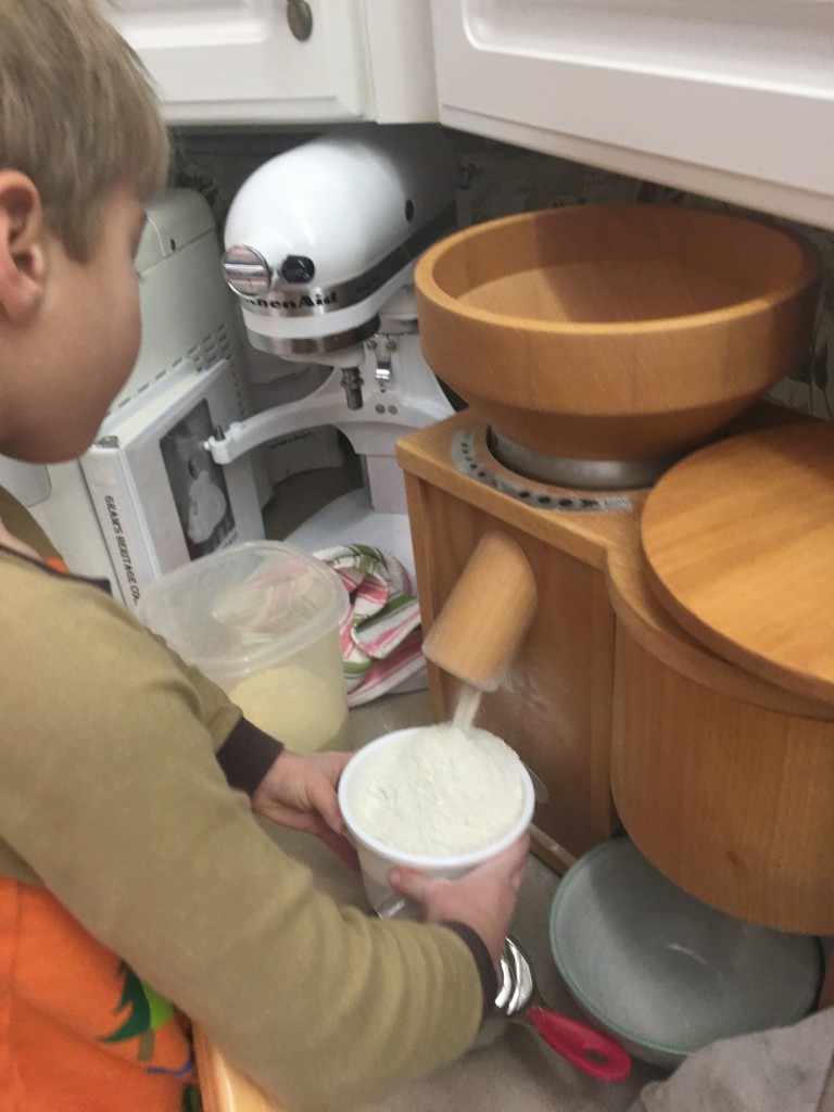 4 year old Carson takes his job of holding the cup to catch the freshly ground spelt flour very serious.